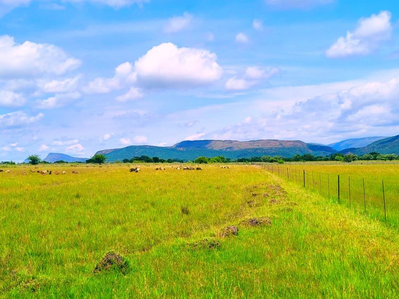 Farm for sale Rankins Pass - Photo 5