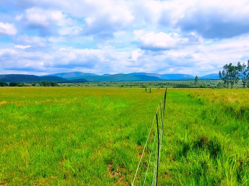 Farm for sale Rankins Pass - Photo 3
