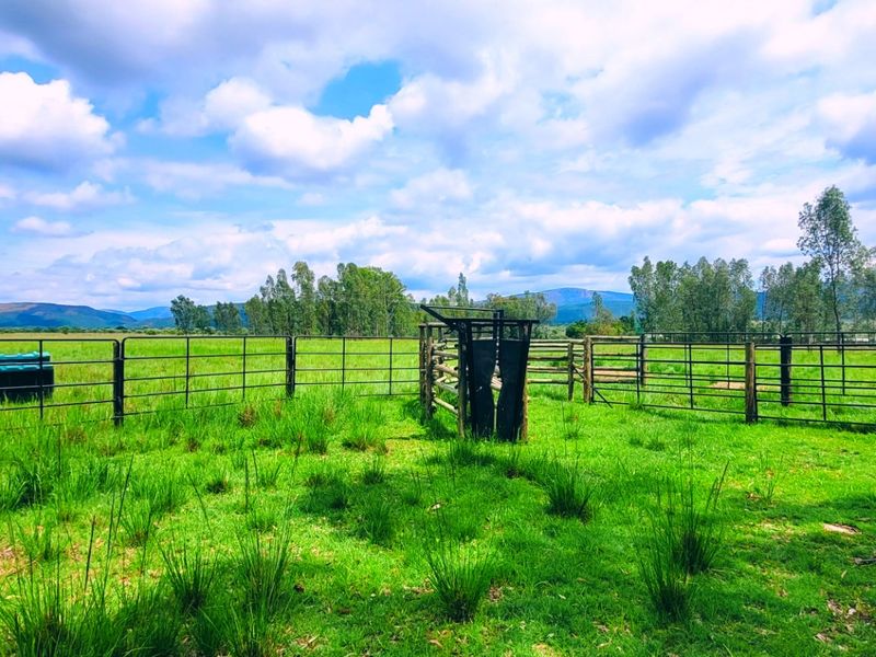 Farm for sale Rankins Pass - Photo 6