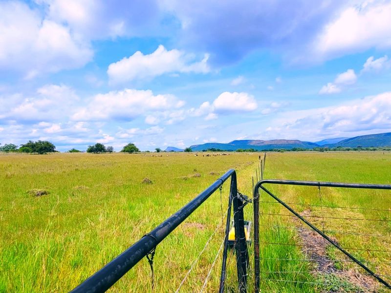 Farm for sale Rankins Pass - Photo 1