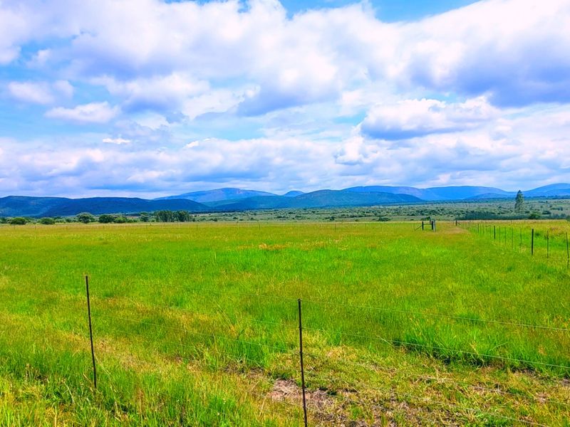 Farm for sale Rankins Pass - Photo 2