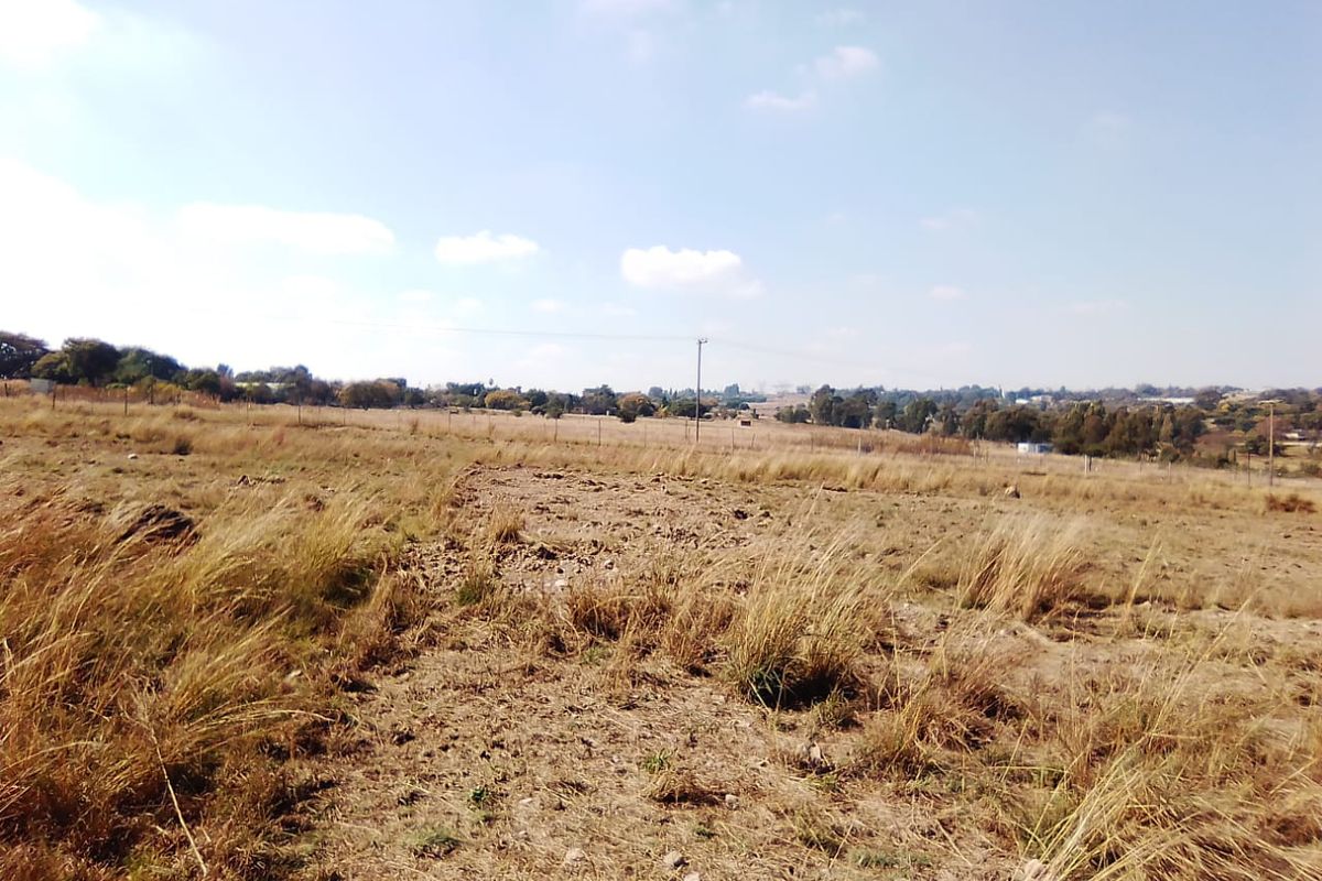 50 000 SQUARE METERS AGRICULTURE COMMERCIAL BUSINESS PROPERTY FOR RENTAL - Photo 5