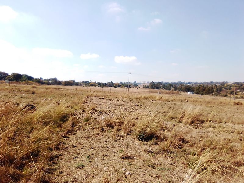 50 000 SQUARE METERS AGRICULTURE COMMERCIAL BUSINESS PROPERTY FOR RENTAL - Photo 5