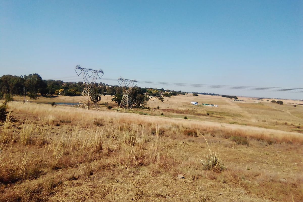 50 000 SQUARE METERS AGRICULTURE COMMERCIAL BUSINESS PROPERTY FOR RENTAL - Photo 4