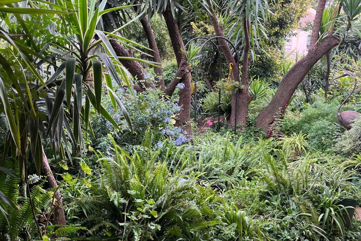 Charming 2 Bedroom Unit with Private Garden! - Photo 5