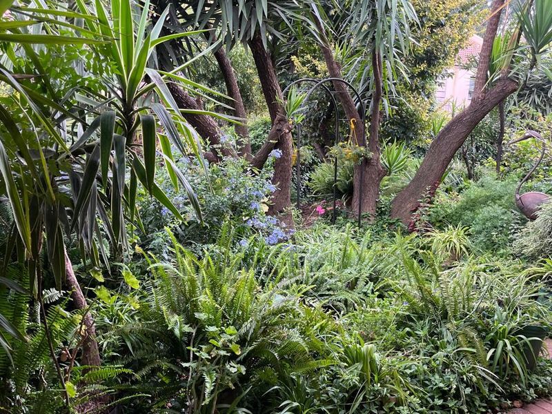 Charming 2 Bedroom Unit with Private Garden! - Photo 5