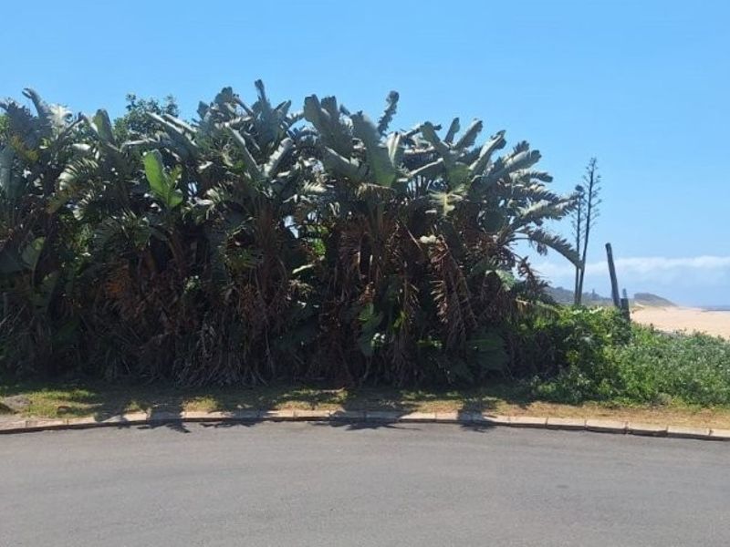 Spectacular Vacant Land!  - Photo 3