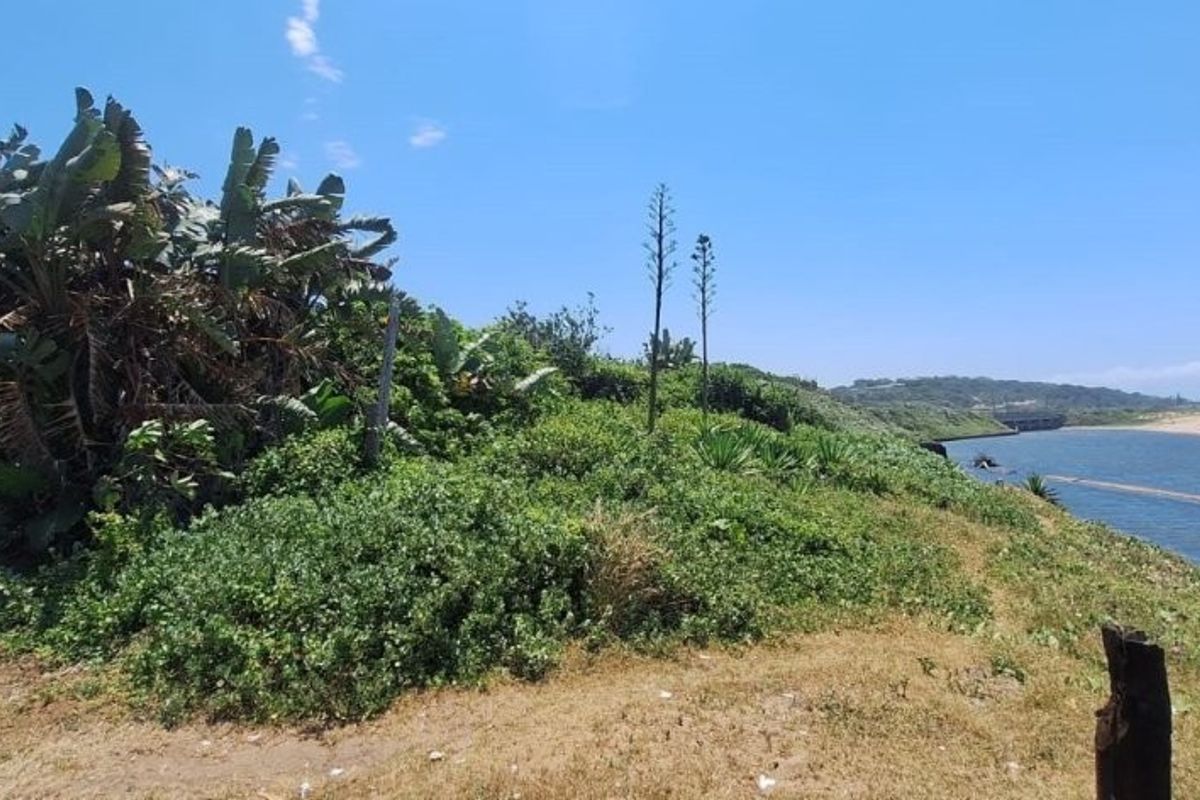 A scenic view of the coastal landscape, featuring natural vegetation and proximity to the river mouth and beach.