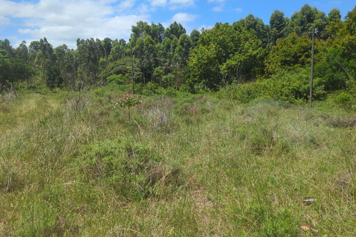 0 Bed Vacant Land in Esikhawini for Sale - Photo 4