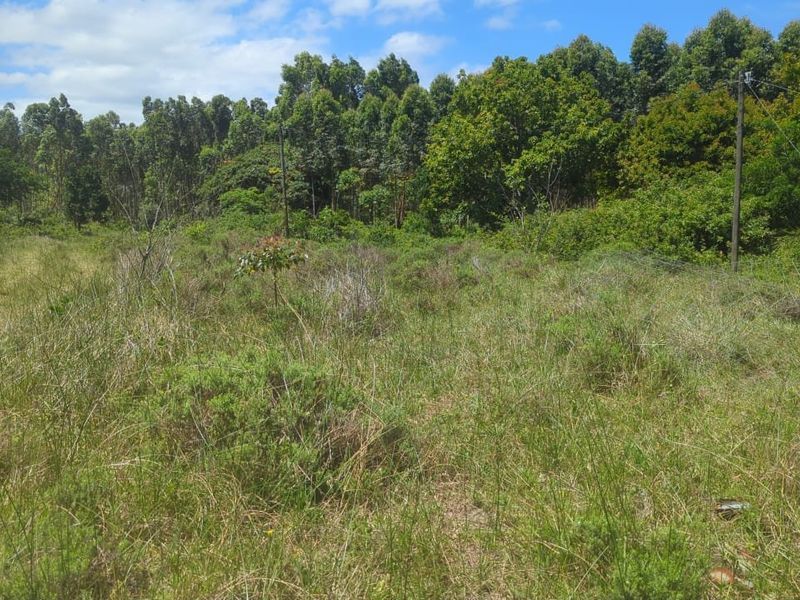 0 Bed Vacant Land in Esikhawini for Sale - Photo 4