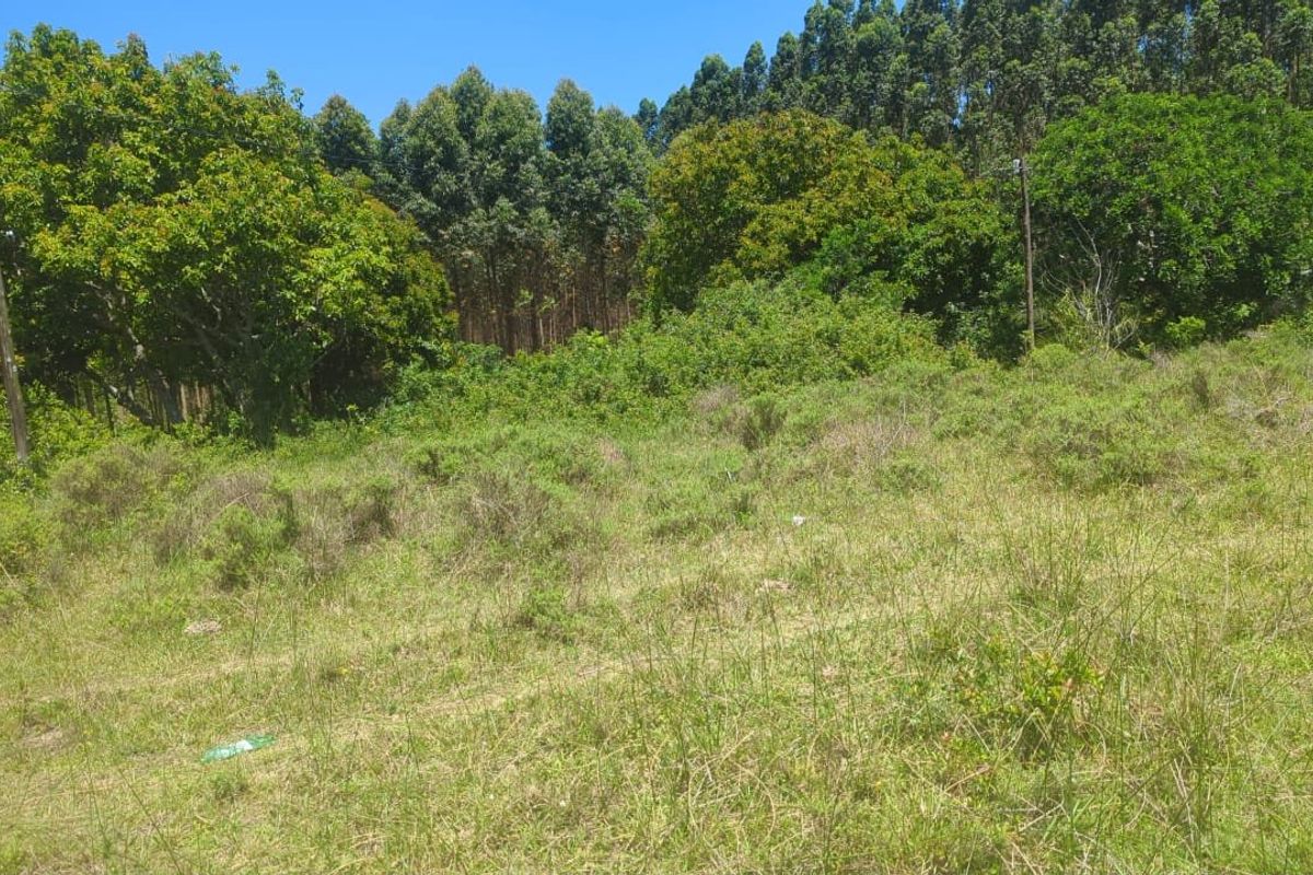 0 Bed Vacant Land in Esikhawini for Sale - Photo 3