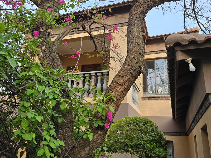 Custom-designed and built masterpiece. Detail-rich and exquisite home that will thrill your senses every time you get home.  - Photo 3