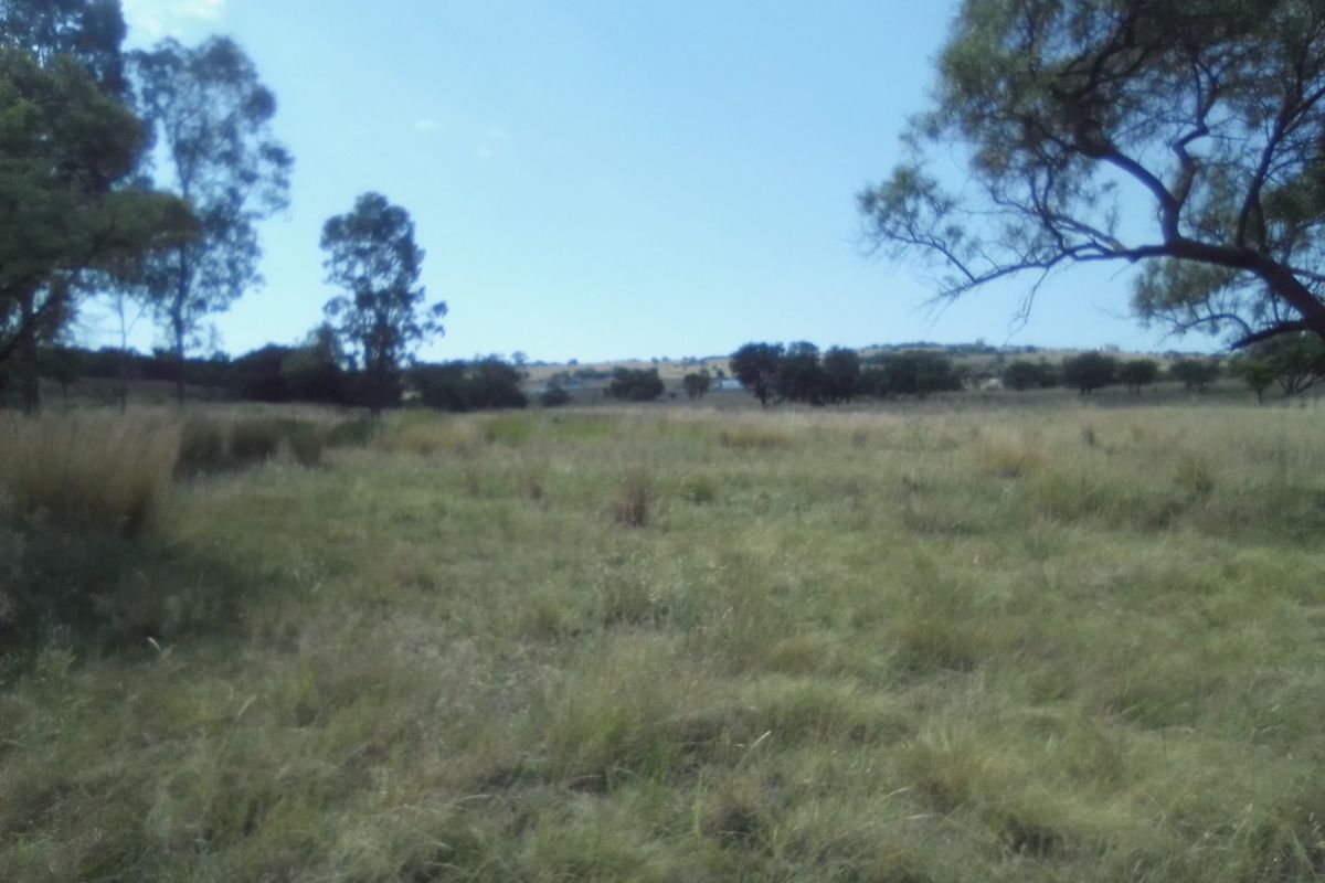 TWENTY FIVE HECTARES AGRICULTURE FARMING LAND FOR RENTAL - Photo 5