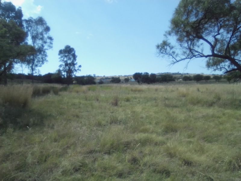 TWENTY FIVE HECTARES AGRICULTURE FARMING LAND FOR RENTAL - Photo 5