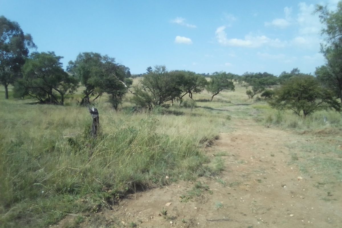 TWENTY FIVE HECTARES AGRICULTURE FARMING LAND FOR RENTAL - Photo 2