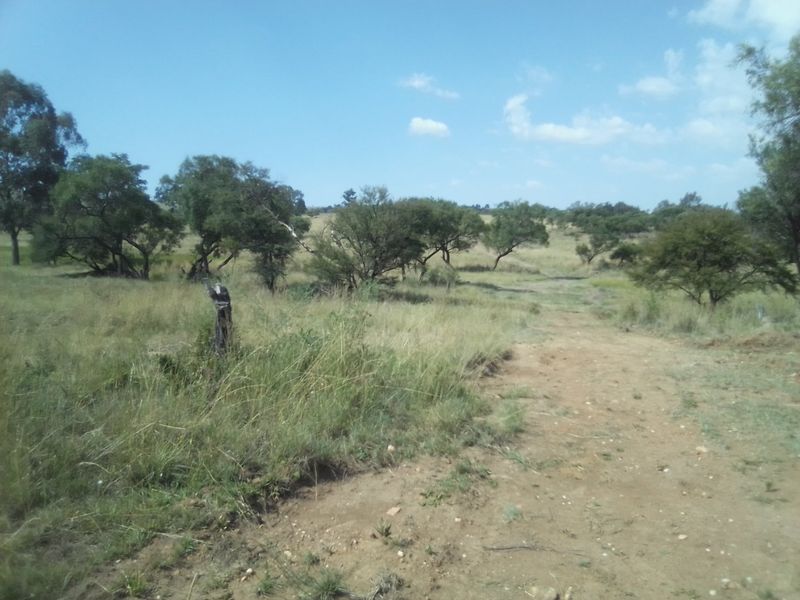 TWENTY FIVE HECTARES AGRICULTURE FARMING LAND FOR RENTAL - Photo 2