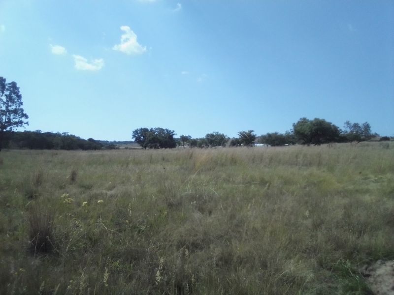 TWENTY FIVE HECTARES AGRICULTURE FARMING LAND FOR RENTAL - Photo 10