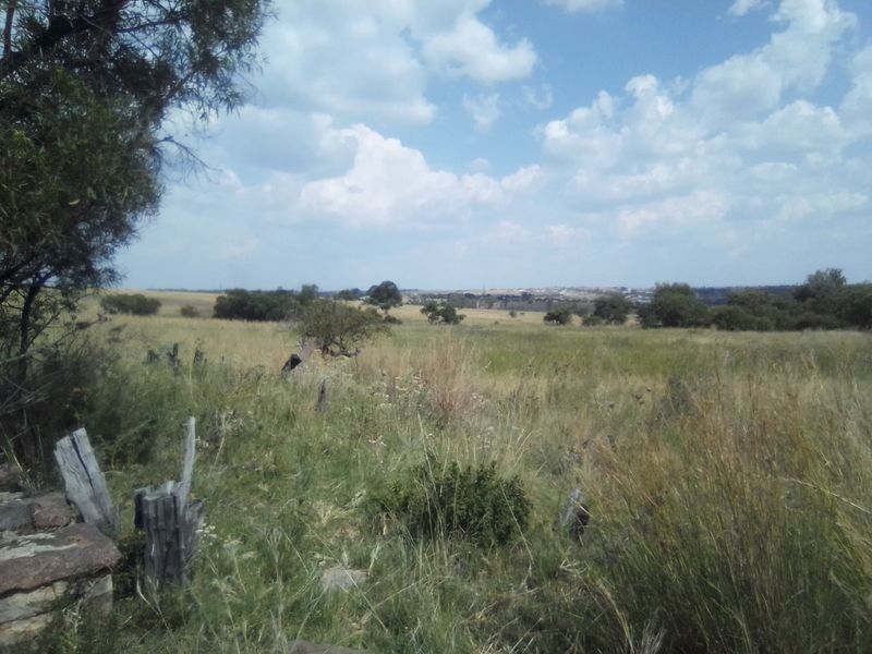TWENTY FIVE HECTARES AGRICULTURE FARMING LAND FOR RENTAL - Photo 7