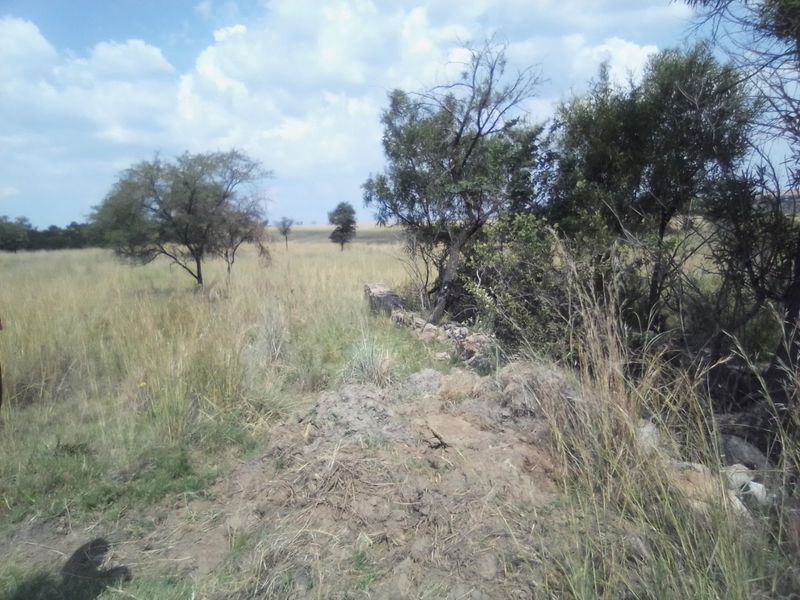 TWENTY FIVE HECTARES AGRICULTURE FARMING LAND FOR RENTAL - Photo 8