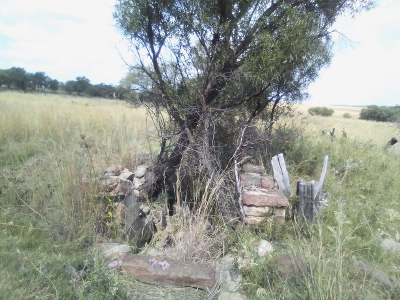 TWENTY FIVE HECTARES AGRICULTURE FARMING LAND FOR RENTAL - Photo 6