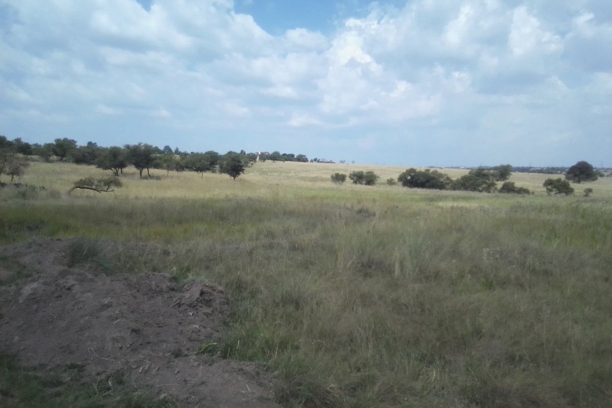 TWENTY FIVE HECTARES AGRICULTURE FARMING LAND FOR RENTAL - Photo 3