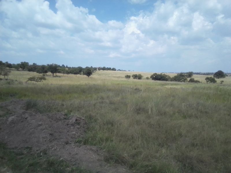 TWENTY FIVE HECTARES AGRICULTURE FARMING LAND FOR RENTAL - Photo 3