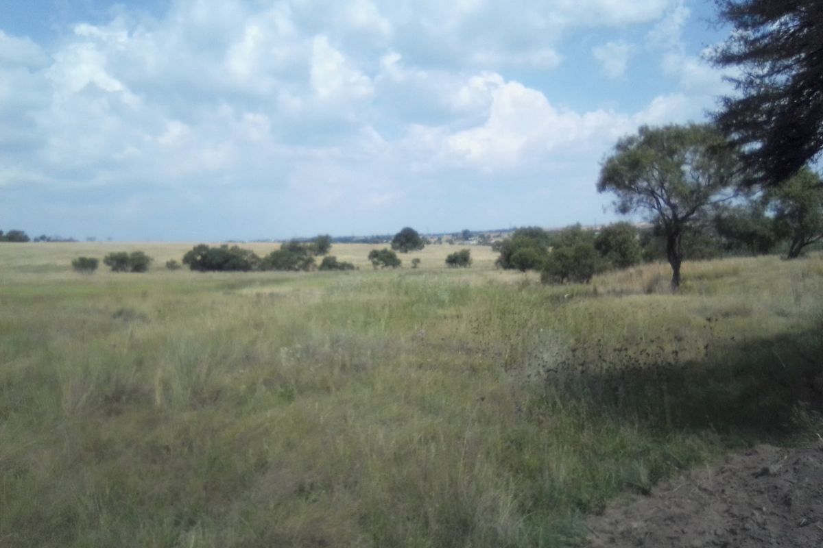 TWENTY FIVE HECTARES AGRICULTURE FARMING LAND FOR RENTAL - Photo 4