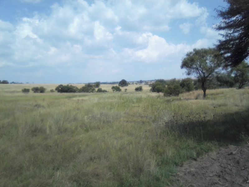 TWENTY FIVE HECTARES AGRICULTURE FARMING LAND FOR RENTAL - Photo 4