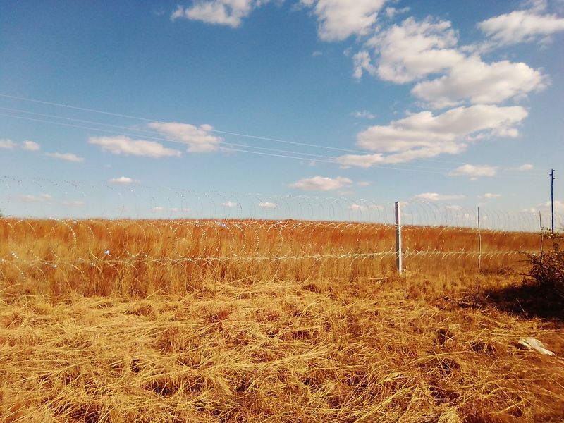 100 000 SQUARE METERS AGRICULTURE COMMERCIAL BUSINESS PROPERTY FOR RENTAL - Photo 9