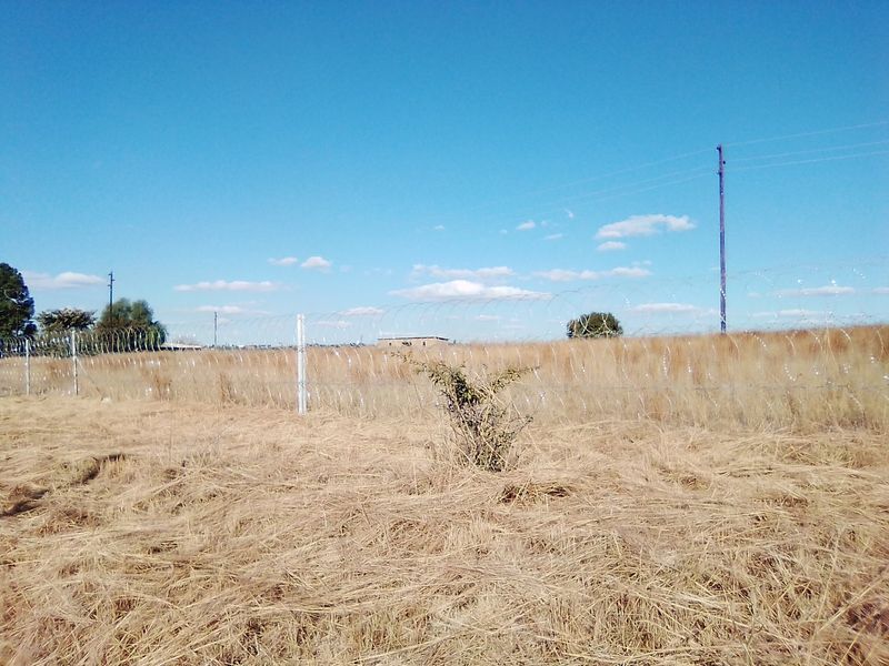 100 000 SQUARE METERS AGRICULTURE COMMERCIAL BUSINESS PROPERTY FOR RENTAL - Photo 6