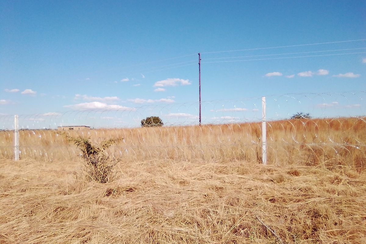 100 000 SQUARE METERS AGRICULTURE COMMERCIAL BUSINESS PROPERTY FOR RENTAL - Photo 5