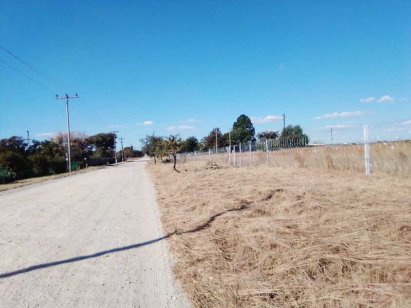100 000 SQUARE METERS AGRICULTURE COMMERCIAL BUSINESS PROPERTY FOR RENTAL - Photo 4