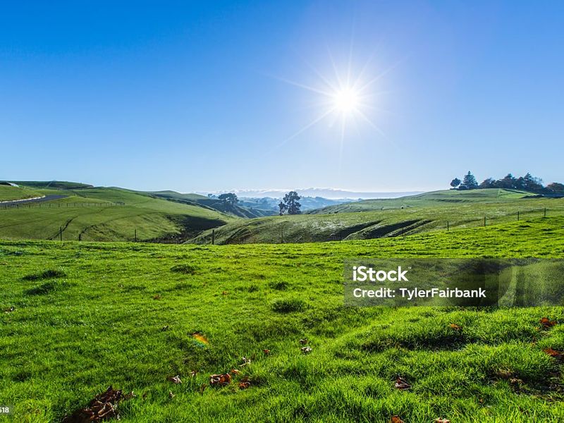 Farm for sale in Cotton lands, KZN - Photo 2