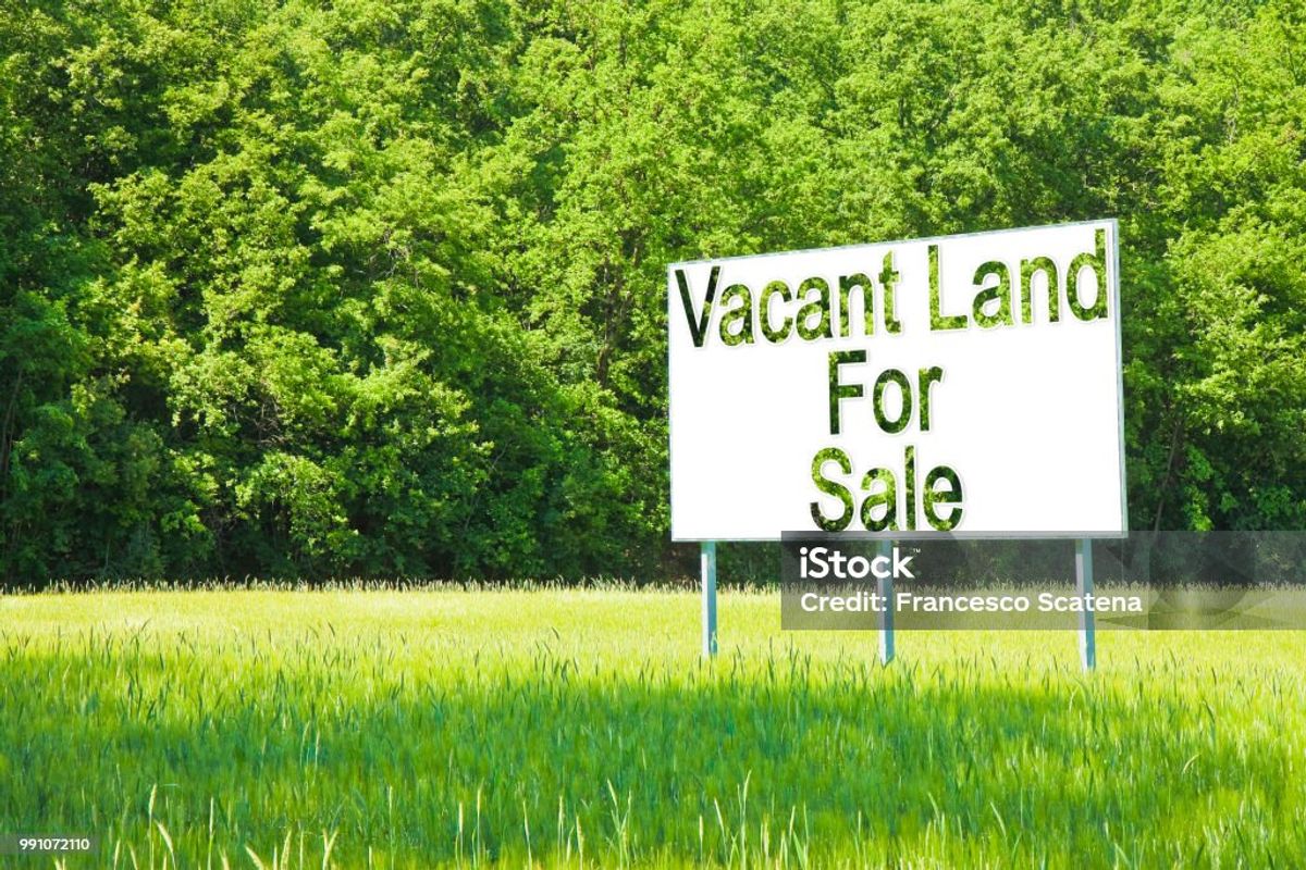 Farm for sale in Cotton lands, KZN - Photo 3