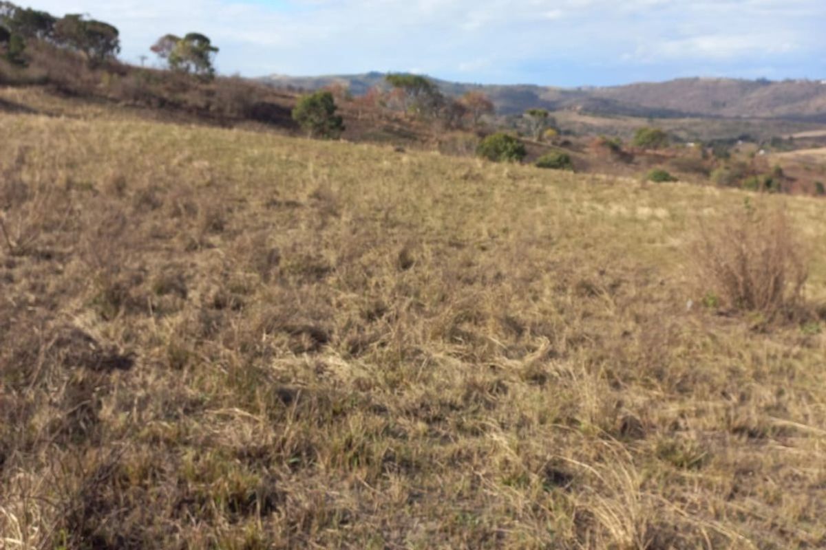 A scenic view of open, dry grassland and rolling hills under a blue sky, showcasing the natural landscape of the farm property.