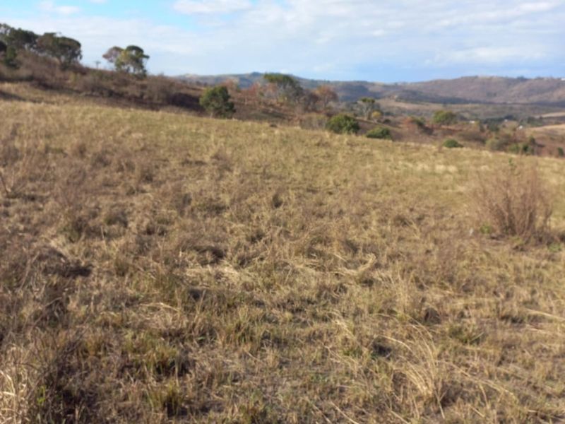 A scenic view of open, dry grassland and rolling hills under a blue sky, showcasing the natural landscape of the farm property.