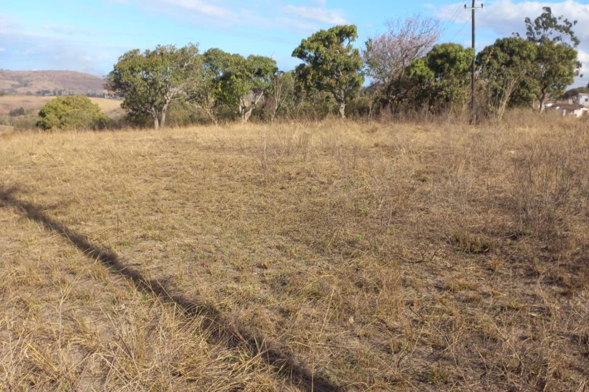 An open, undeveloped plot of land featuring natural grass cover, scattered trees, and overhead power lines against a clear blue sky.