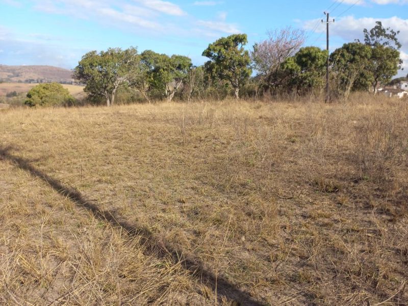 An open, undeveloped plot of land featuring natural grass cover, scattered trees, and overhead power lines against a clear blue sky.