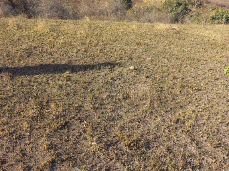 A scenic view of the surrounding hilly landscape and natural terrain on the farm property.