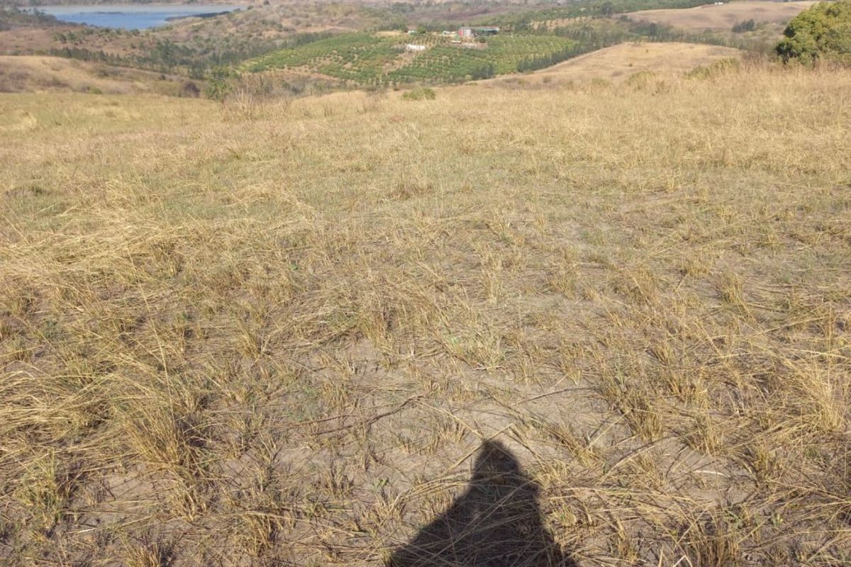 Expansive landscape view overlooking rolling hills, agricultural land, and a distant water body from an elevated position on the farm.