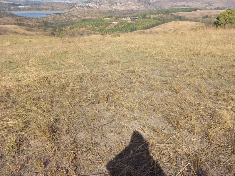 Expansive landscape view overlooking rolling hills, agricultural land, and a distant water body from an elevated position on the farm.