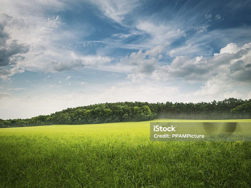 Farm for sale in Cotton Lands, Verulam, KZN - Photo 2