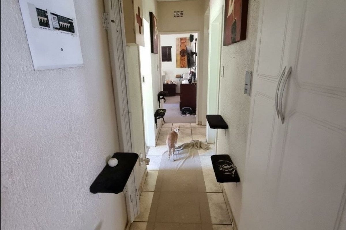 Beautiful Plot for Sale – Exceptional Investment Opportunity!  This beautiful and spacious plot offers the perfect combination of comfortable family living and outstanding rental income potential ideal for investors or extended families looking for space and security. Main House Features: 3 Spacious Bedrooms Large Loft Area (perfect for office, extra bedroom, or entertainment space) Generous Living Areas Beautiful, well-maintained home with plenty of character  Additional Features: 4 Garages Large Workshop Area Swimming Pool Very safe and secure property Expansive grounds with endless possibilities Income-Generating Potential: Townhouses on the property currently used for rental income Furnished bedroom units available to rent out Excellent opportunity for investors seeking multiple income streams This unique property offers space, versatility, and strong rental returns — all in one stunning setting. Perfect for investors, business owners, or families wanting additional income from home.  Don’t miss out on this rare opportunity — contact us today to arrange a viewing! - Photo 5