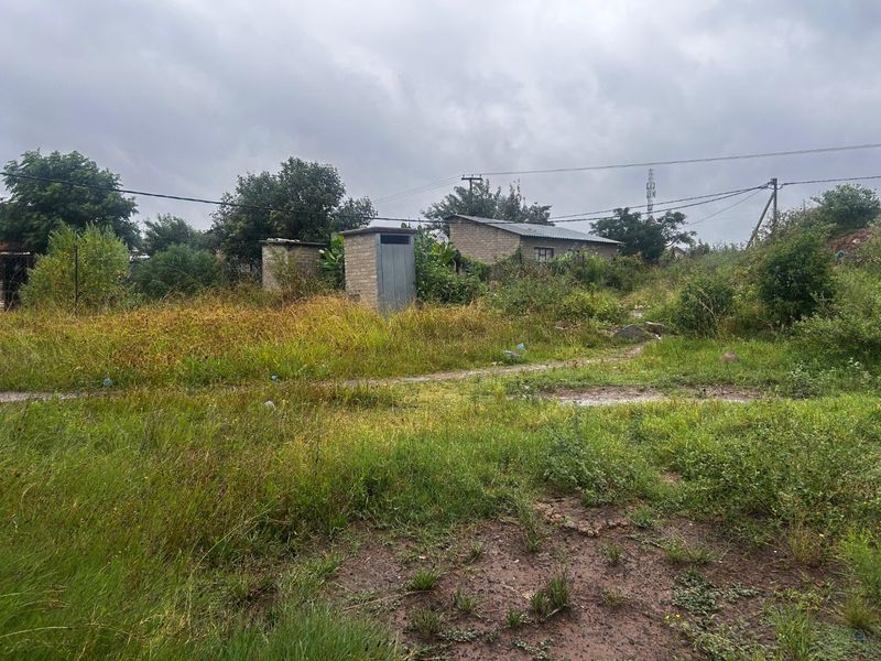 A view of the rear yard featuring an unpaved area with overgrown vegetation and small brick outbuildings.