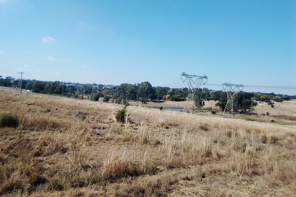 25 000 SQUARE METERS AGRICULTURE COMMERCIAL BUSINESS PROPERTY FOR RENTAL - Photo 3