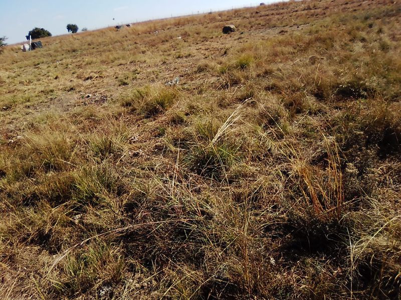 25 000 SQUARE METERS AGRICULTURE COMMERCIAL BUSINESS PROPERTY FOR RENTAL - Photo 10