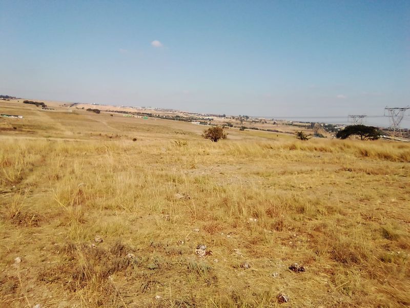 25 000 SQUARE METERS AGRICULTURE COMMERCIAL BUSINESS PROPERTY FOR RENTAL - Photo 9