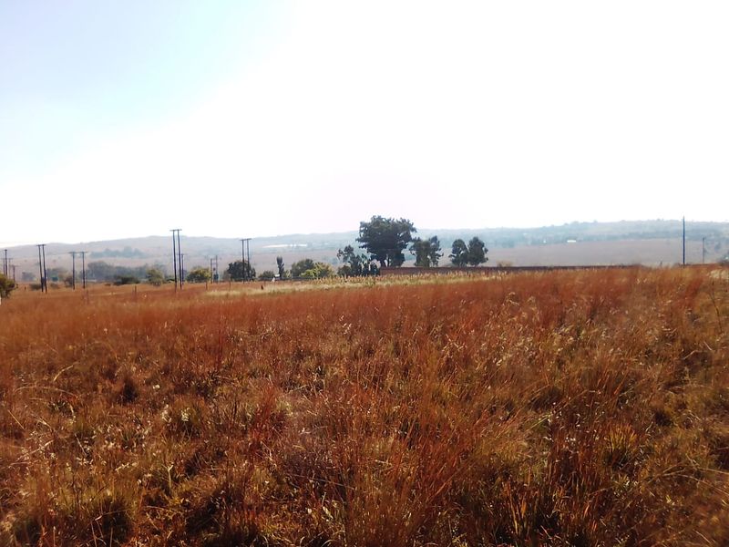 25 000 SQUARE METERS AGRICULTURE COMMERCIAL BUSINESS PROPERTY FOR RENTAL - Photo 8