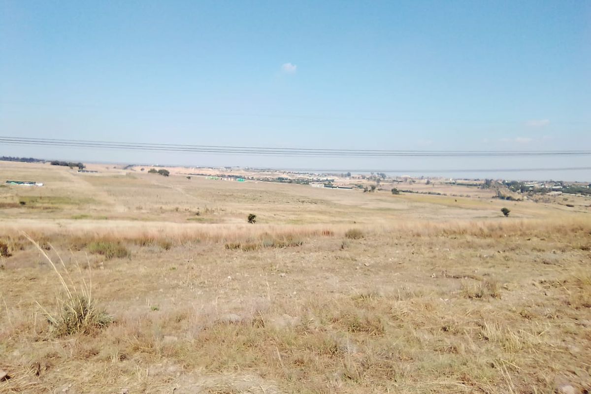 25 000 SQUARE METERS AGRICULTURE COMMERCIAL BUSINESS PROPERTY FOR RENTAL - Photo 2