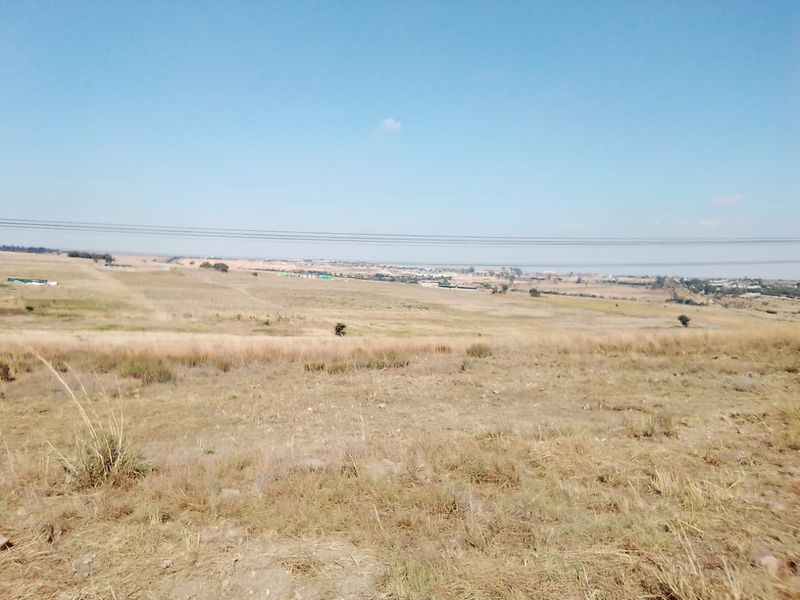 25 000 SQUARE METERS AGRICULTURE COMMERCIAL BUSINESS PROPERTY FOR RENTAL - Photo 2